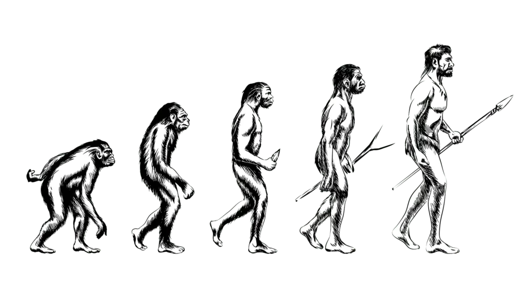 Anthropology BA (Hons)
