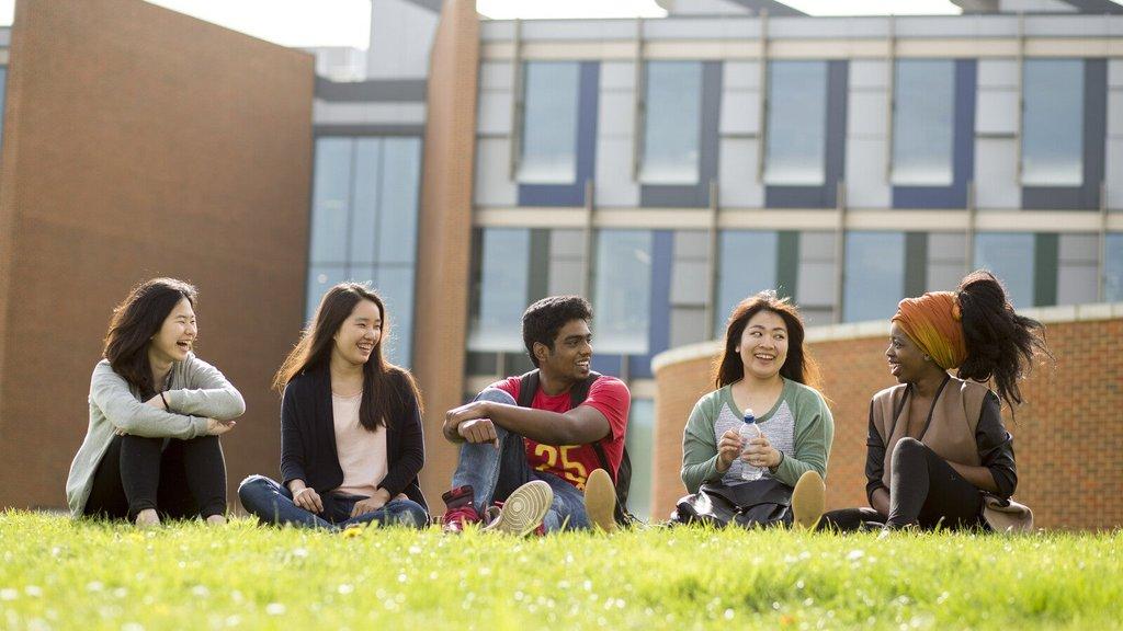 Study Group - Pathway Provider